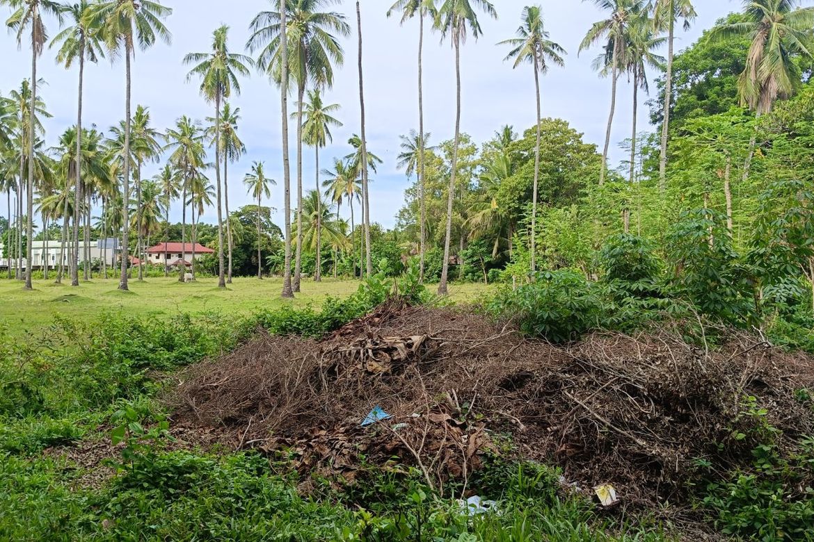 Land for Sale in Batinguel, Dumaguete, Negros Oriental – photo 5