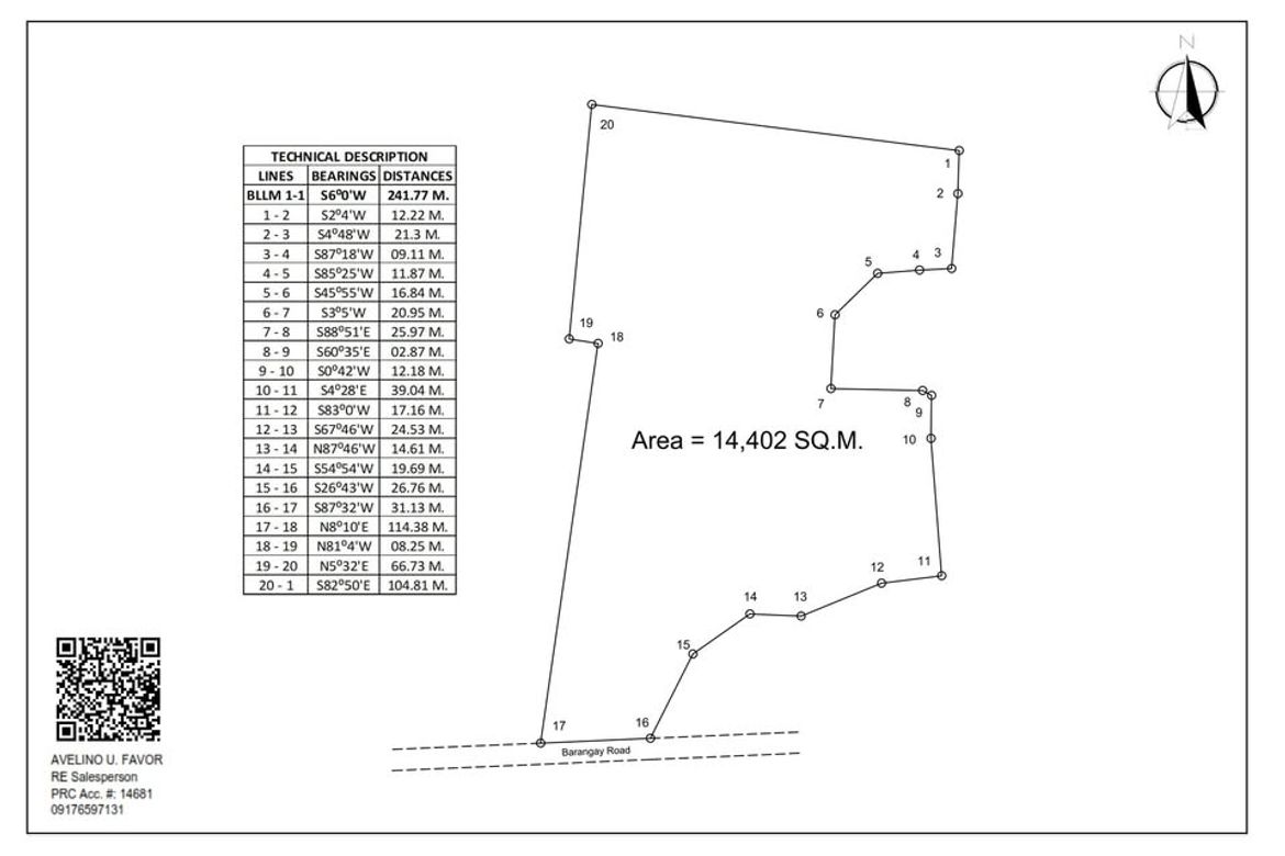 Land for Sale in Batinguel, Dumaguete, Negros Oriental – photo 6
