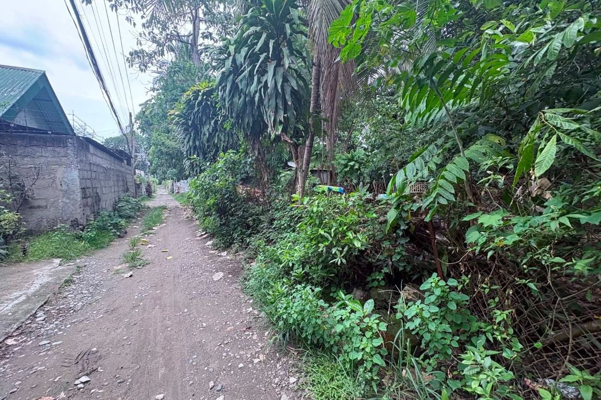 Land for Sale in Batinguel, Dumaguete, Negros Oriental – photo 2