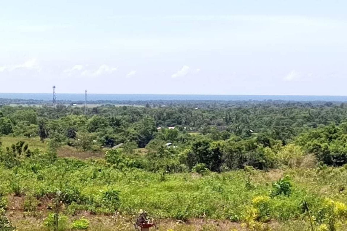 Land for Sale in Bato-Bato, Narra, Palawan – photo 3
