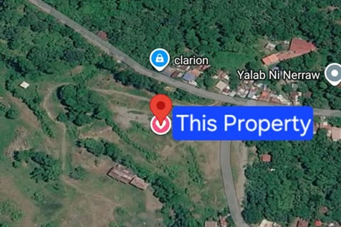 Land for Sale in Bato, Davao City, Davao del Sur