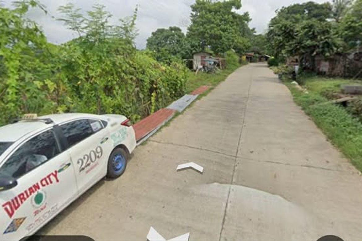Land for Sale in Bato, Davao City, Davao del Sur – photo 2