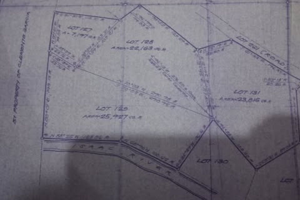 Land for Sale in Bato, Davao City, Davao del Sur – photo 4