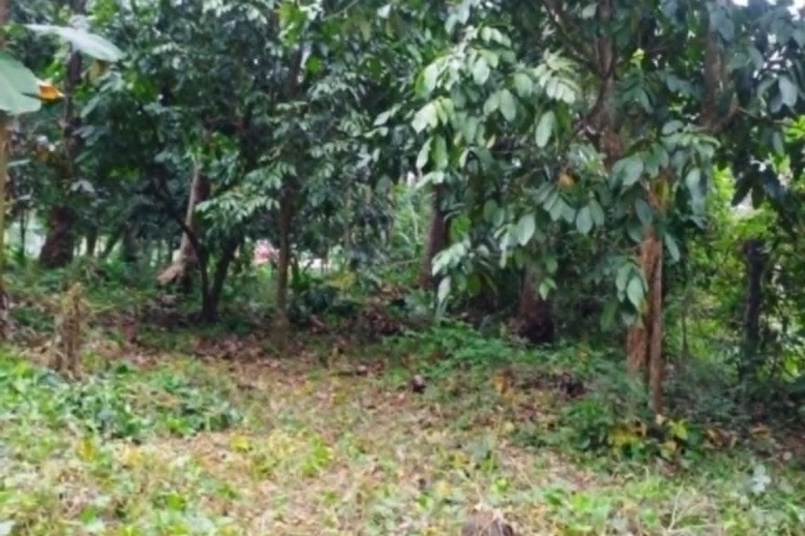Land for Sale in Bato, Davao City, Davao del Sur – photo 5