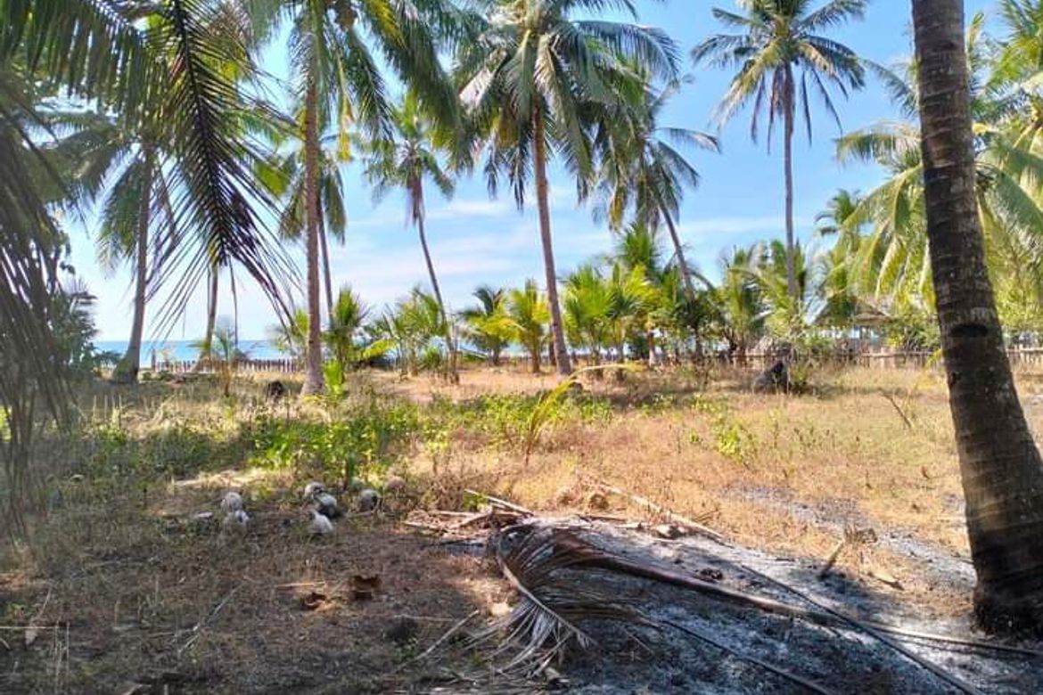 Land for Sale in Batong Buhay, Sablayan, Occidental Mindoro