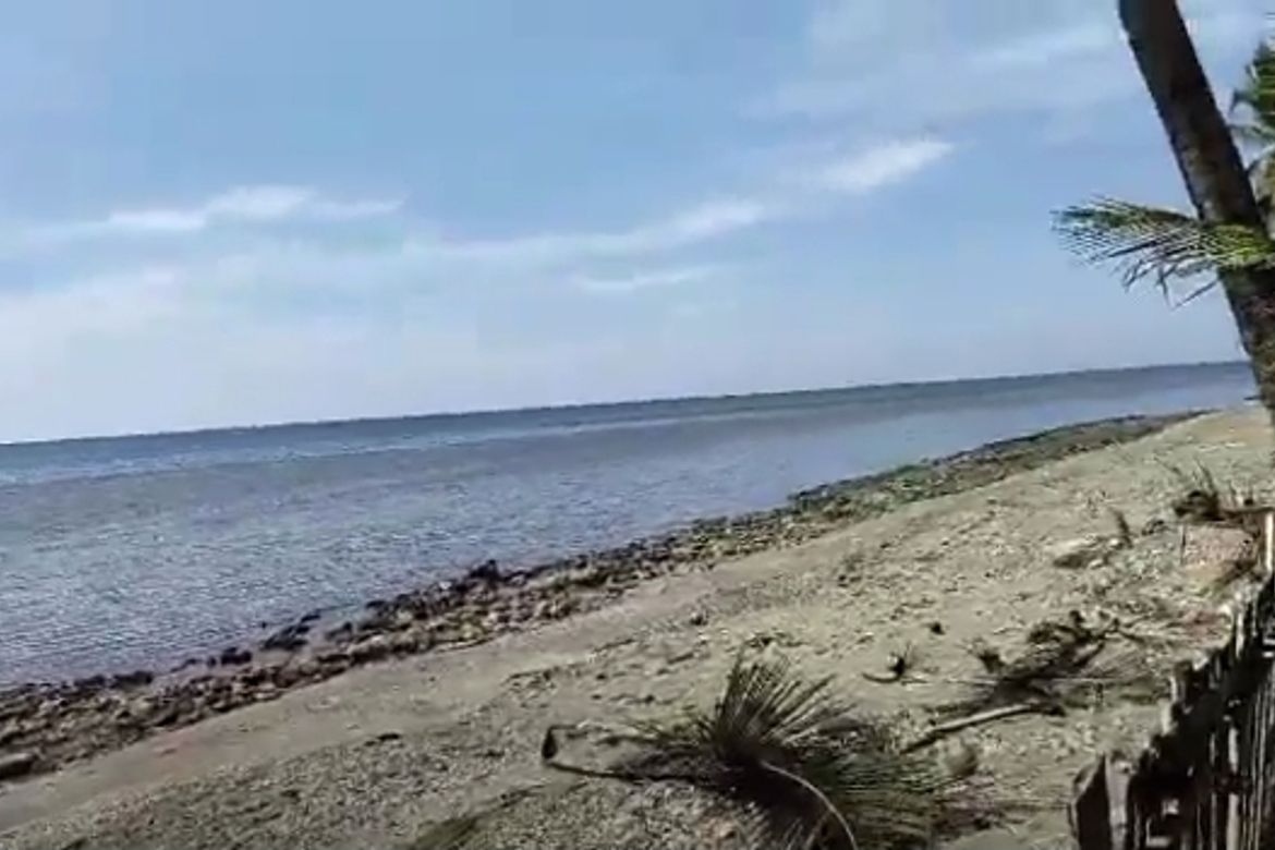 Land for Sale in Batong Buhay, Sablayan, Occidental Mindoro – photo 2