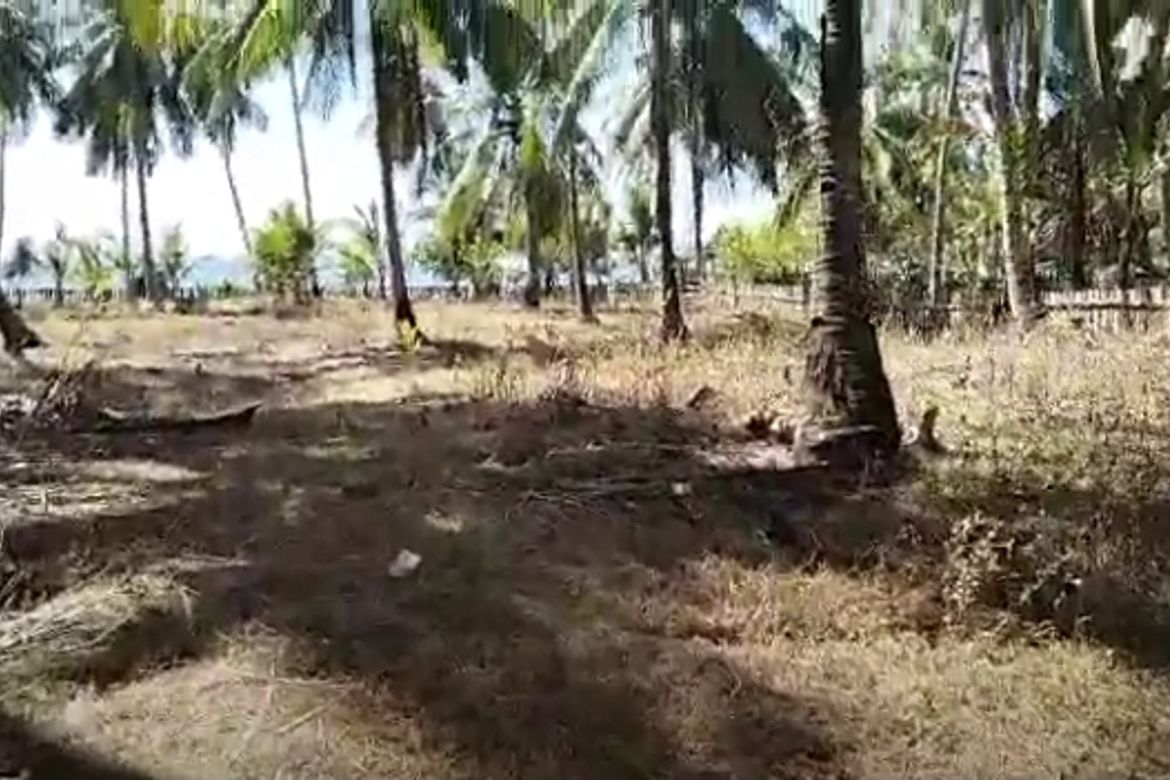 Land for Sale in Batong Buhay, Sablayan, Occidental Mindoro – photo 6