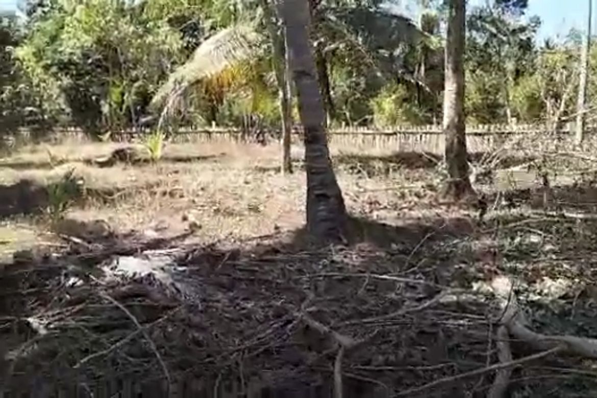Land for Sale in Batong Buhay, Sablayan, Occidental Mindoro – photo 7