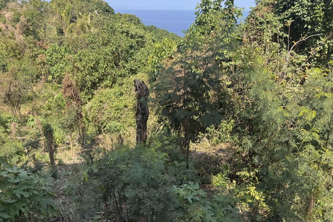 Land for Sale in Bauan Grand Villa Homes, Subic Ibaba, Agoncillo, Batangas – photo 3