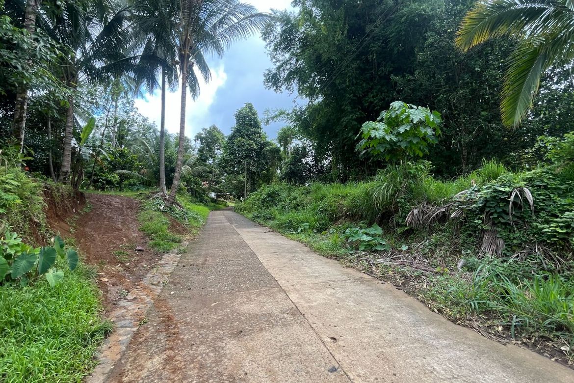 Land for Sale in Bayabas, Davao City, Davao del Sur
