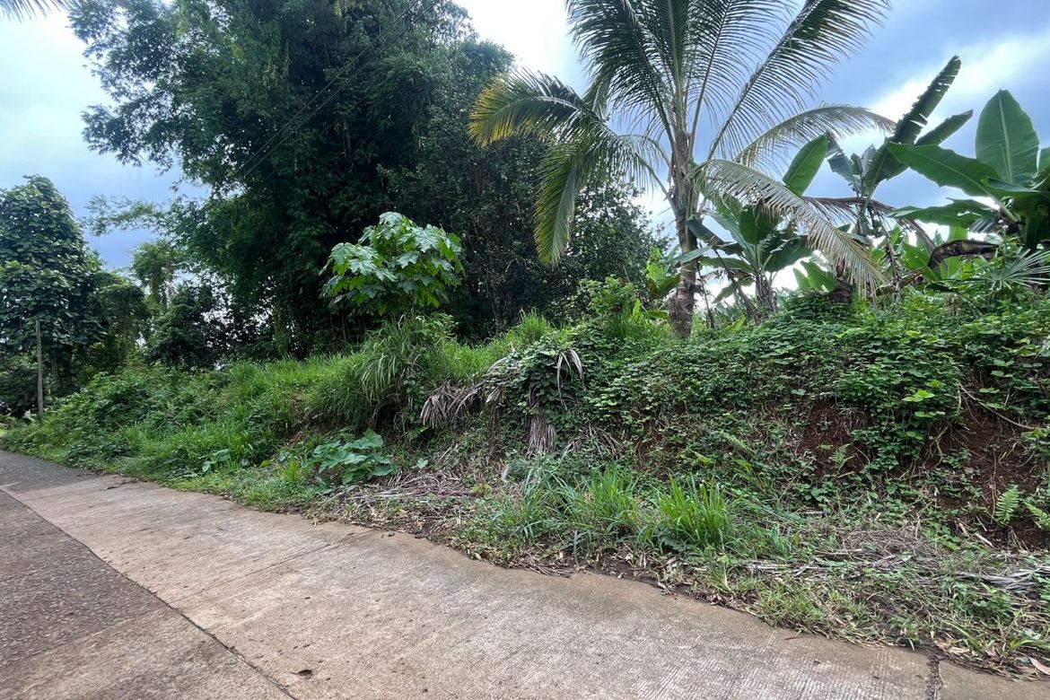 Land for Sale in Bayabas, Davao City, Davao del Sur – photo 2