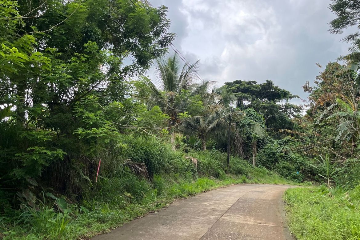 Land for Sale in Bayabas, Davao City, Davao del Sur – photo 3
