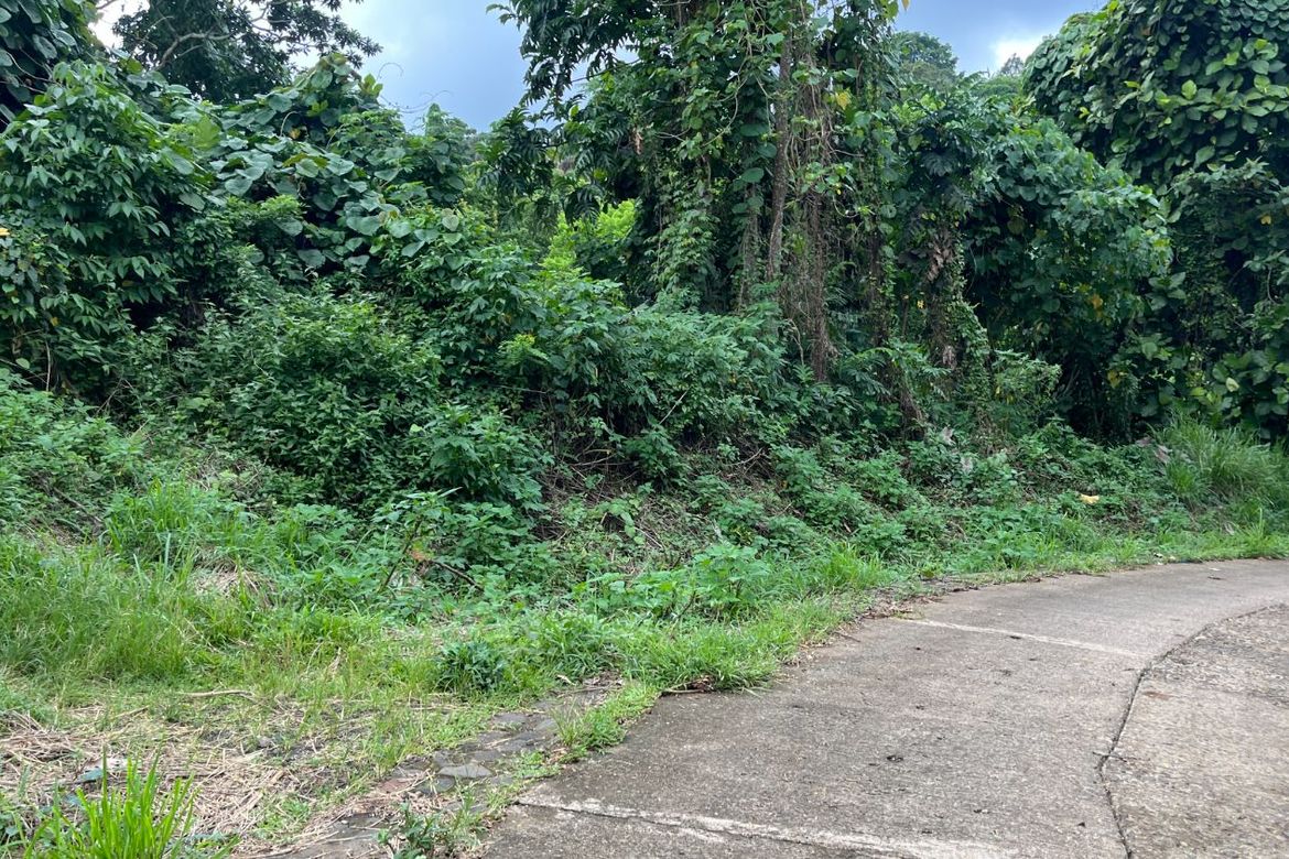 Land for Sale in Bayabas, Davao City, Davao del Sur – photo 5