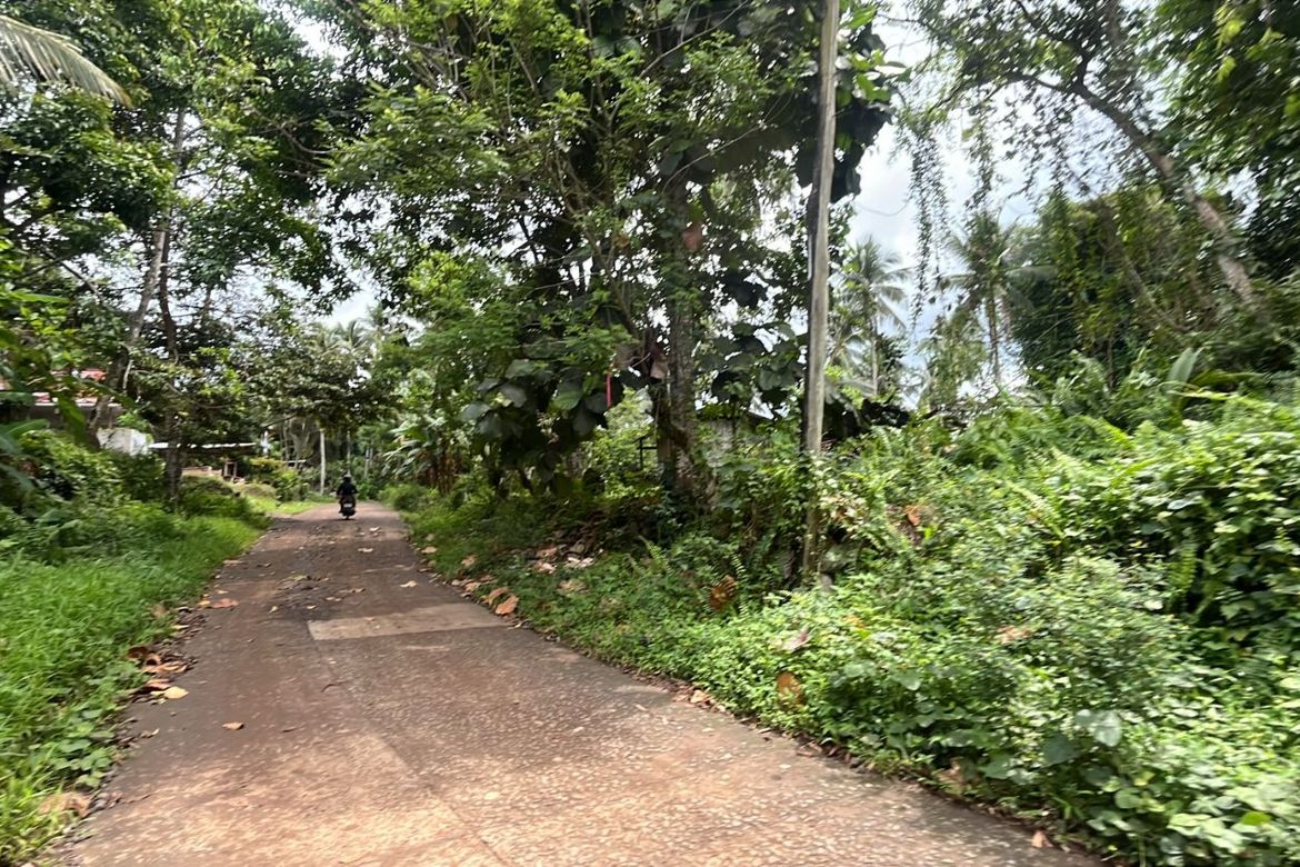 Land for Sale in Bayabas, Davao City, Davao del Sur – photo 7