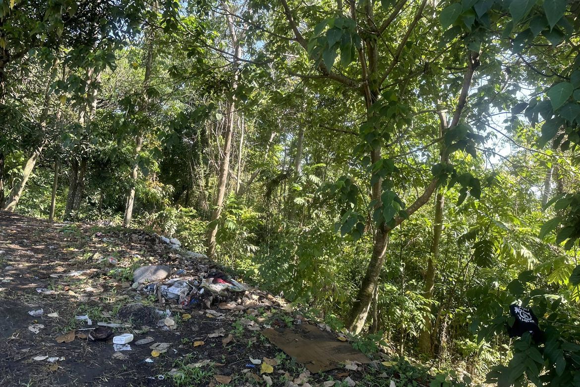 Land for Sale in Bayabas, Davao City, Davao del Sur