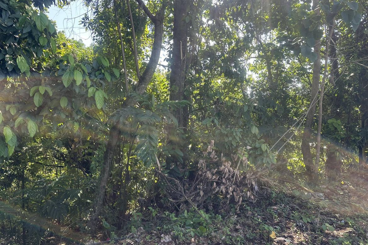 Land for Sale in Bayabas, Davao City, Davao del Sur – photo 3