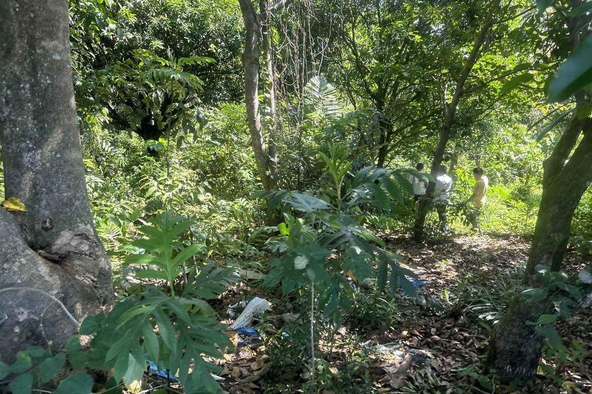 Land for Sale in Bayabas, Davao City, Davao del Sur – photo 4