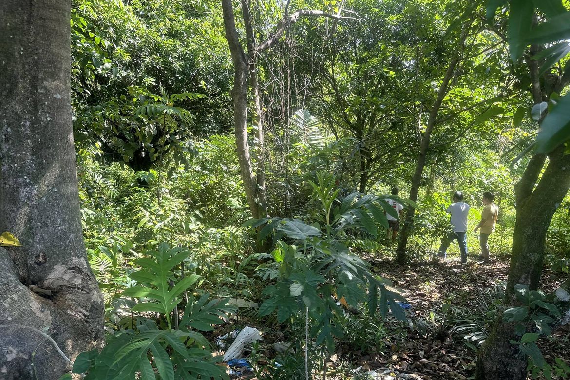 Land for Sale in Bayabas, Davao City, Davao del Sur – photo 5