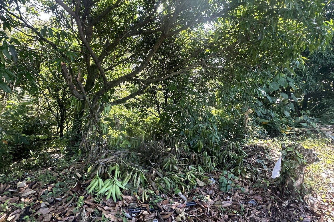 Land for Sale in Bayabas, Davao City, Davao del Sur – photo 6