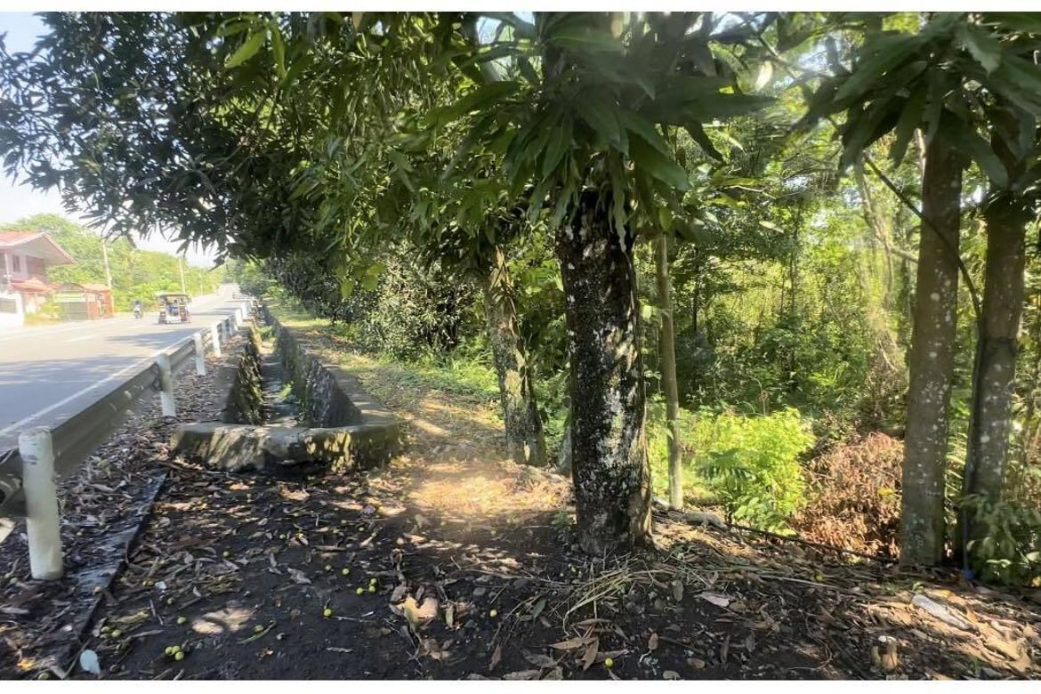 Land for Sale in Bayabas, Davao City, Davao del Sur – photo 7