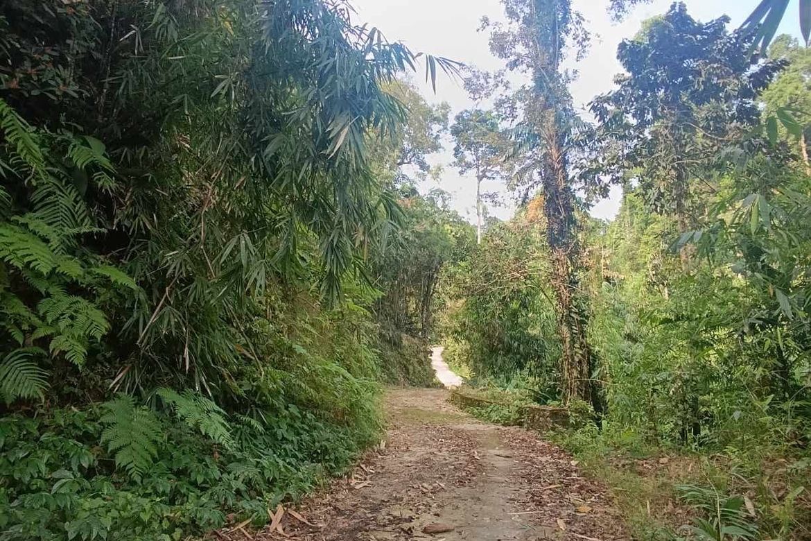 Land for Sale in Bayabas, Sablan, Benguet – photo 4
