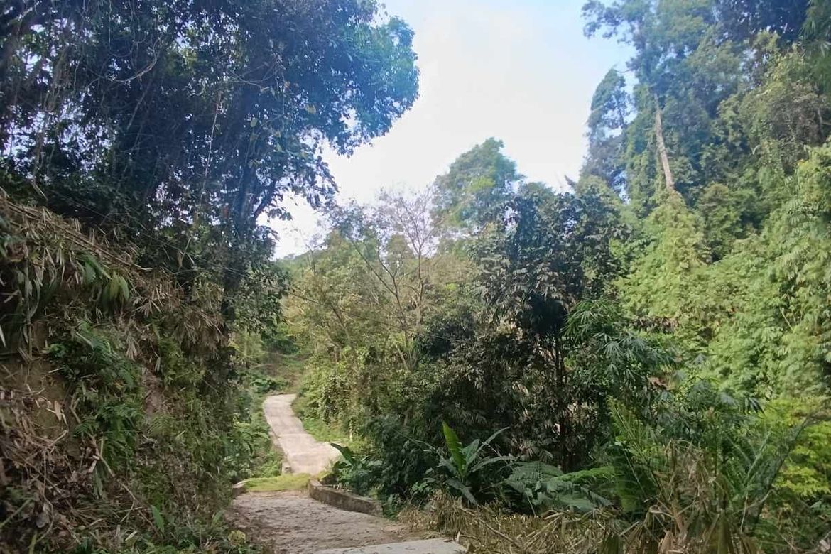 Land for Sale in Bayabas, Sablan, Benguet – photo 7