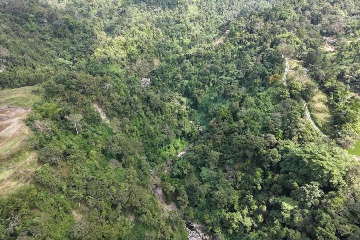Land for Sale in Bayabas, Sablan, Benguet – photo 6