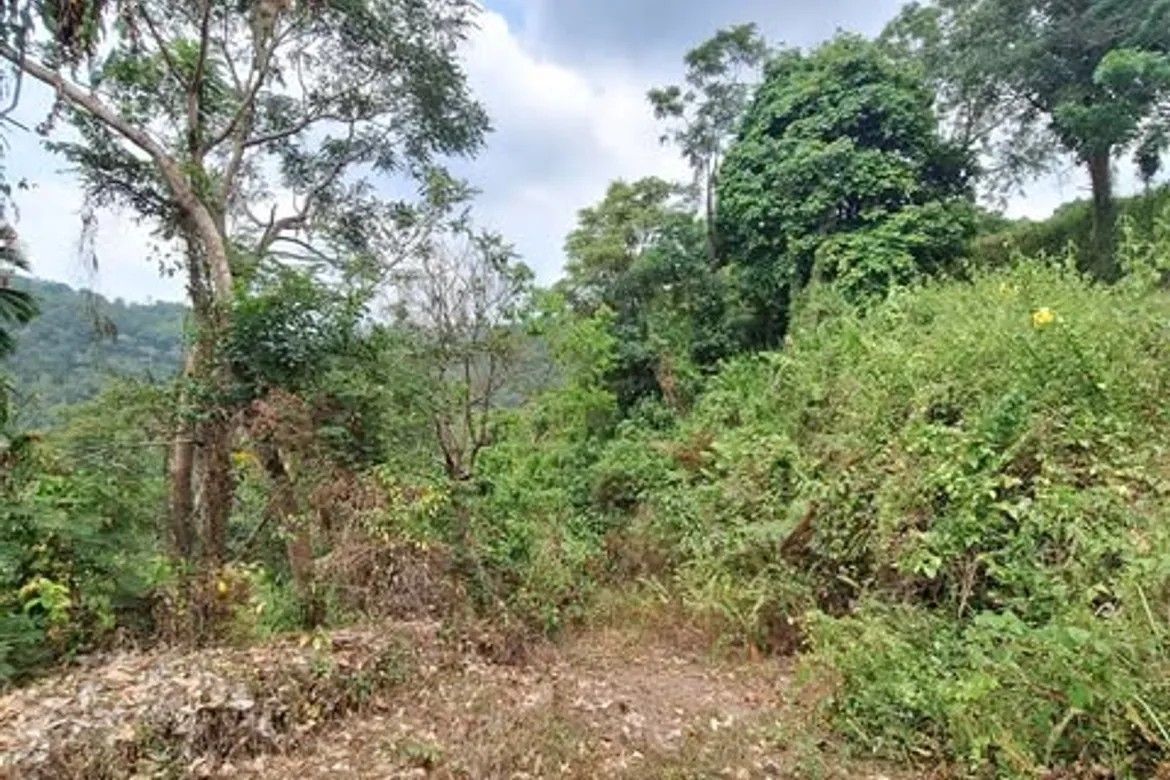 Land for Sale in Bayabas, Sablan, Benguet – photo 8
