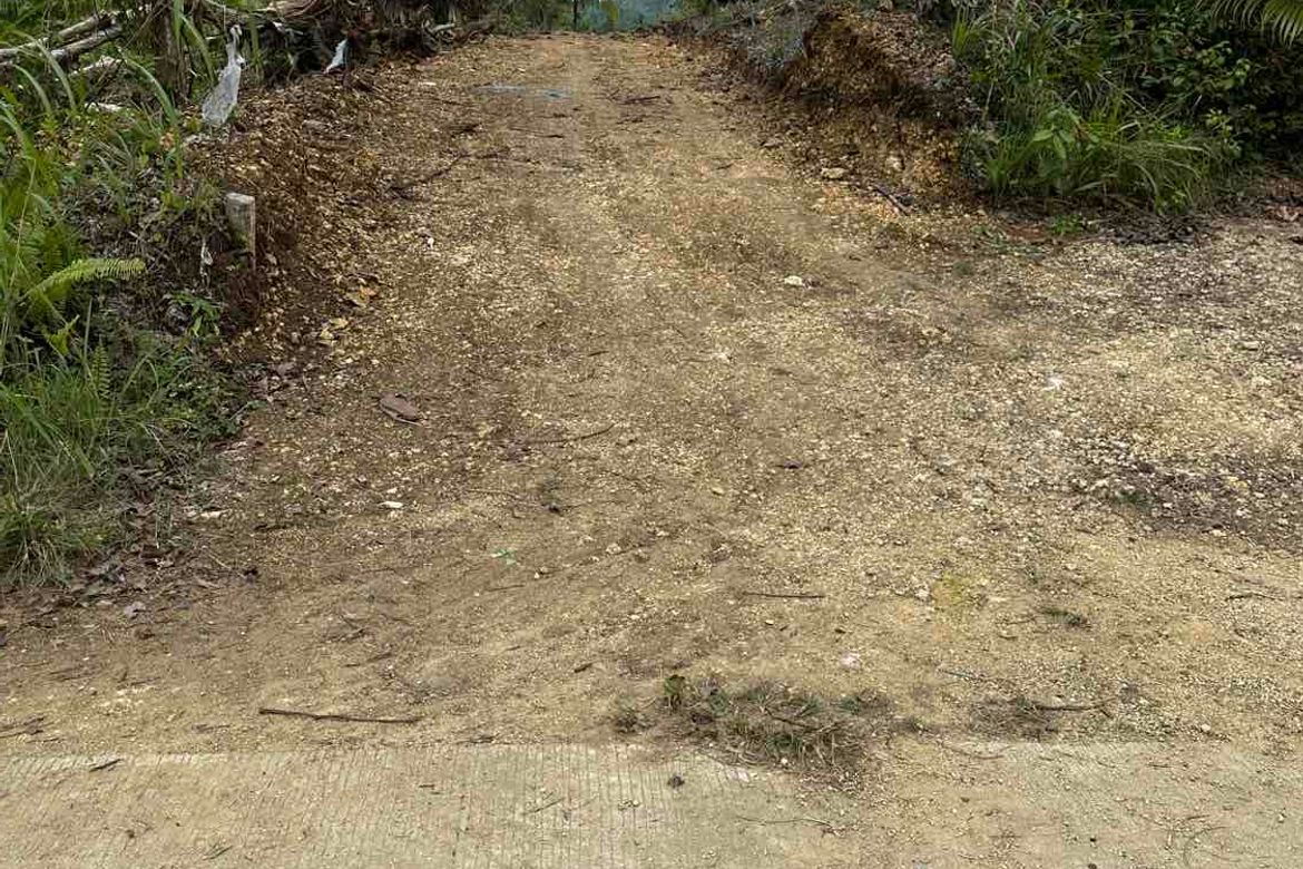 Land for Sale in Bayacabac, Maribojoc, Bohol – photo 2