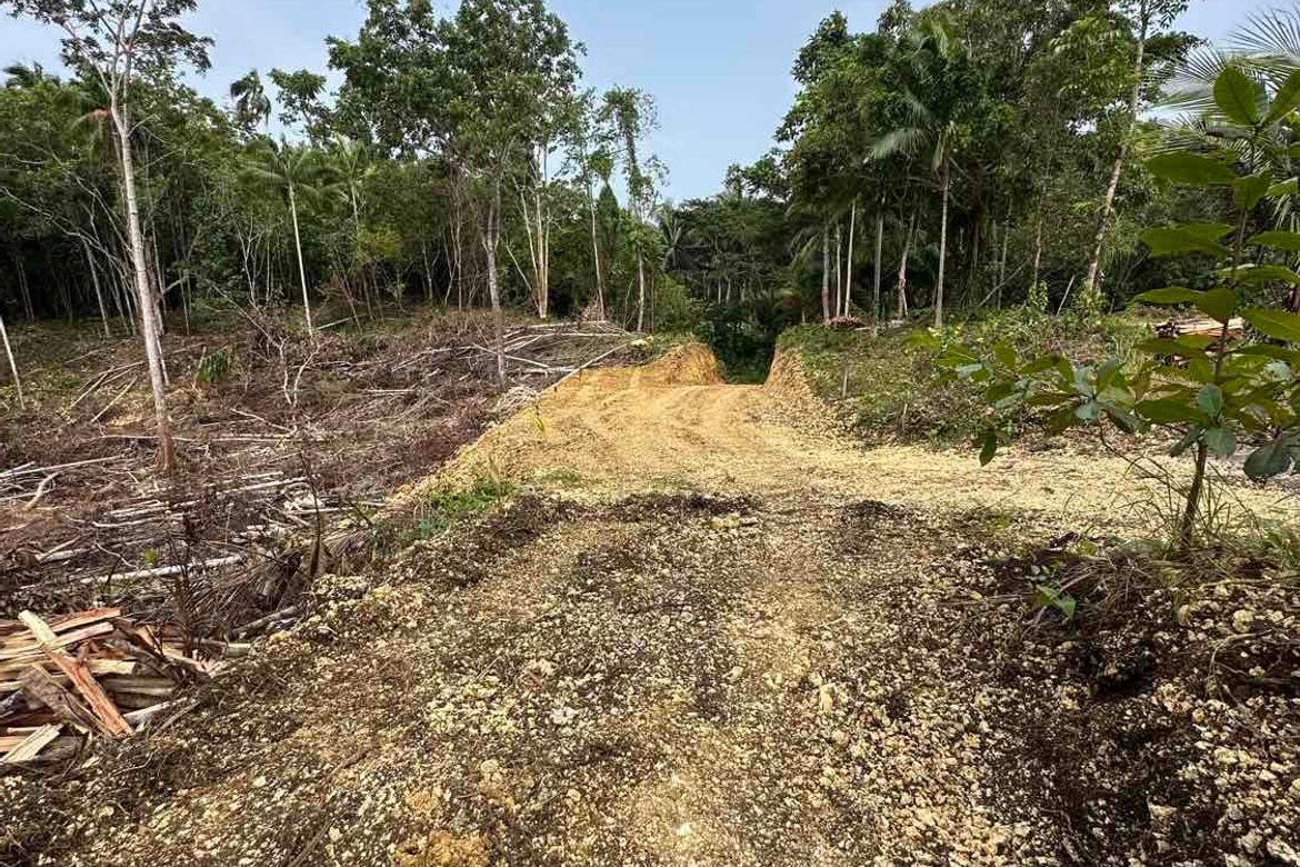 Land for Sale in Bayacabac, Maribojoc, Bohol – photo 3