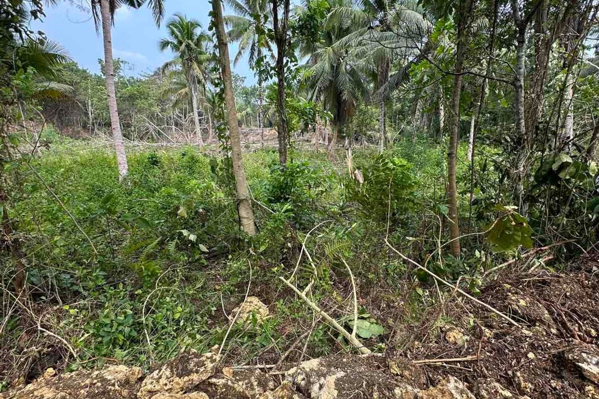 Land for Sale in Bayacabac, Maribojoc, Bohol – photo 7