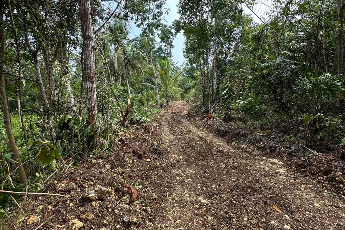 Land for Sale in Bayacabac, Maribojoc, Bohol – photo 8