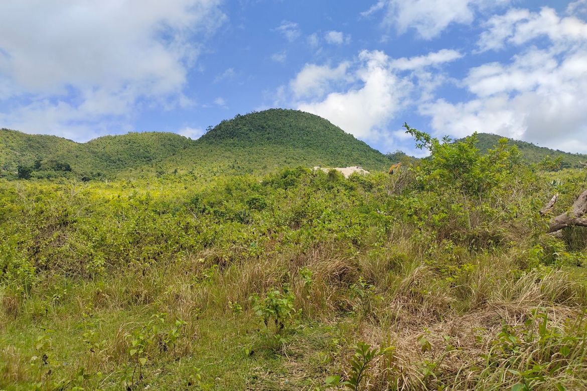 Land for Sale in Bayacabac, Maribojoc, Bohol