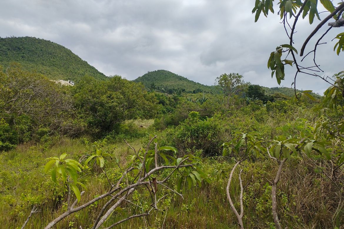 Land for Sale in Bayacabac, Maribojoc, Bohol – photo 2