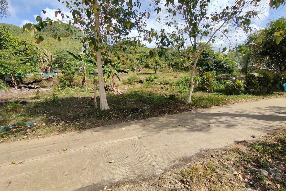 Land for Sale in Bayacabac, Maribojoc, Bohol – photo 7