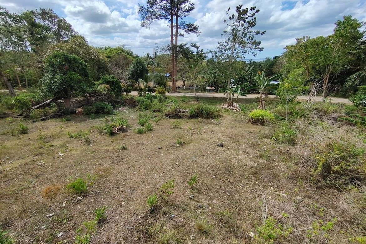 Land for Sale in Bayacabac, Maribojoc, Bohol – photo 8