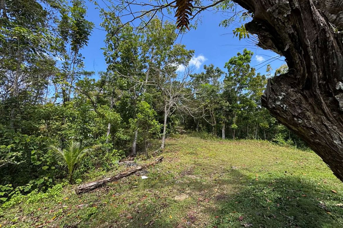 Land for Sale in Bayacabac, Maribojoc, Bohol – photo 4
