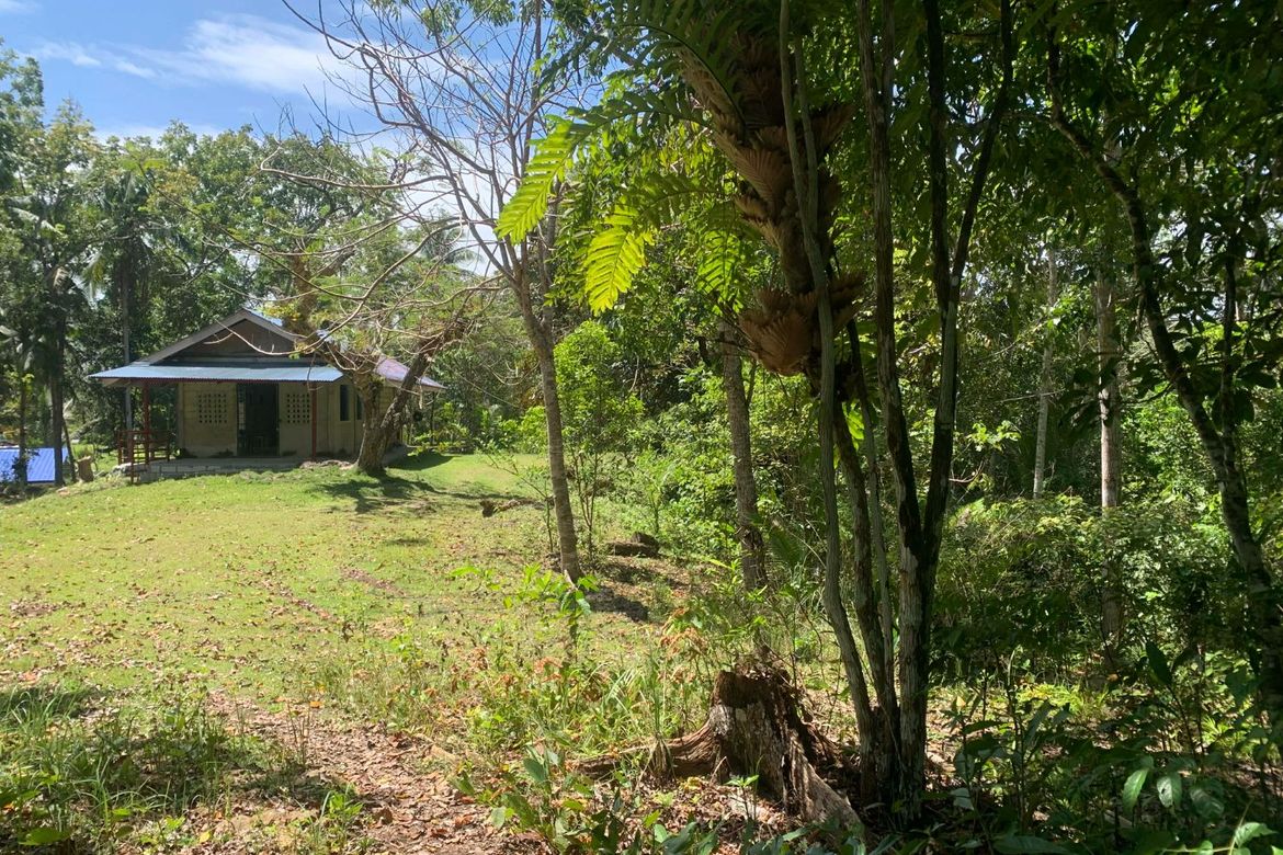 Land for Sale in Bayacabac, Maribojoc, Bohol – photo 6