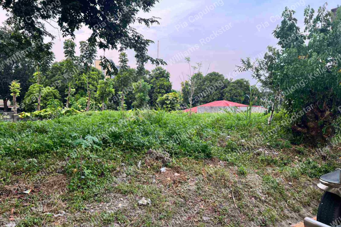 Land for Sale in Bayanan, Muntinlupa, Metro Manila – photo 2