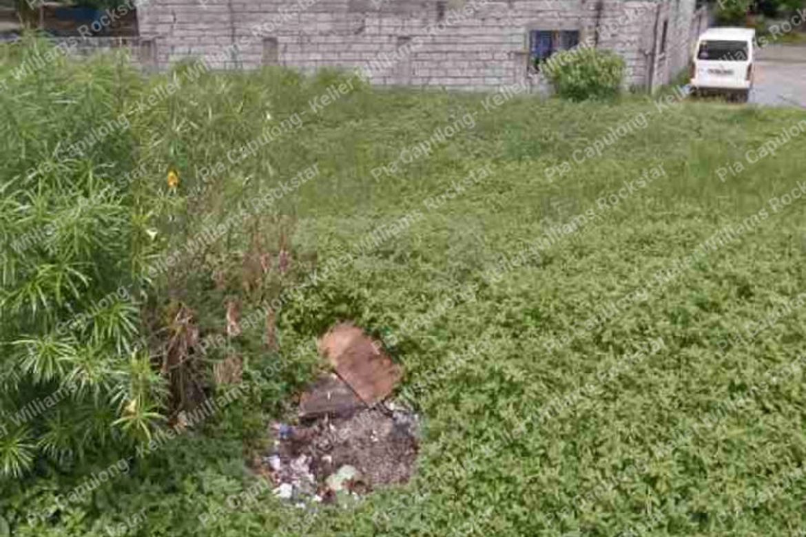 Land for Sale in Bayanan, Muntinlupa, Metro Manila – photo 5