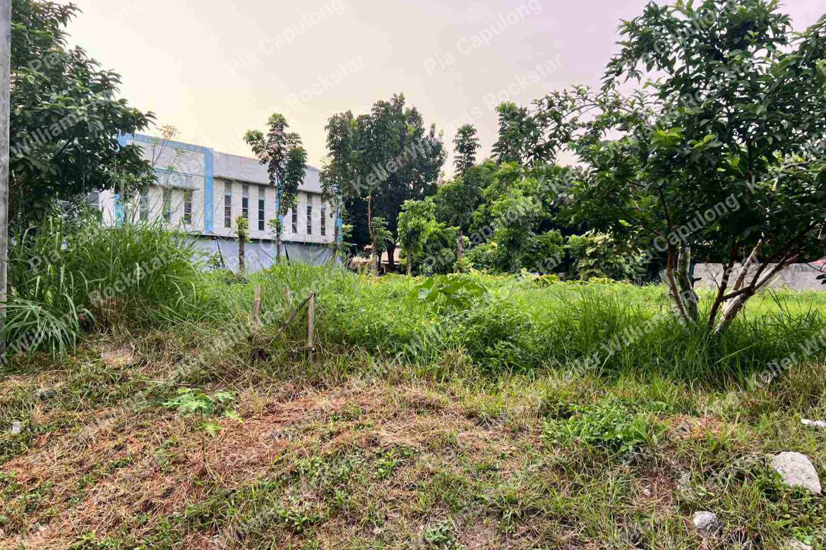 Land for Sale in Bayanan, Muntinlupa, Metro Manila – photo 6