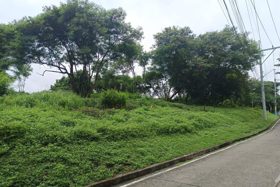 Land for Sale in Bayanan, Muntinlupa, Metro Manila