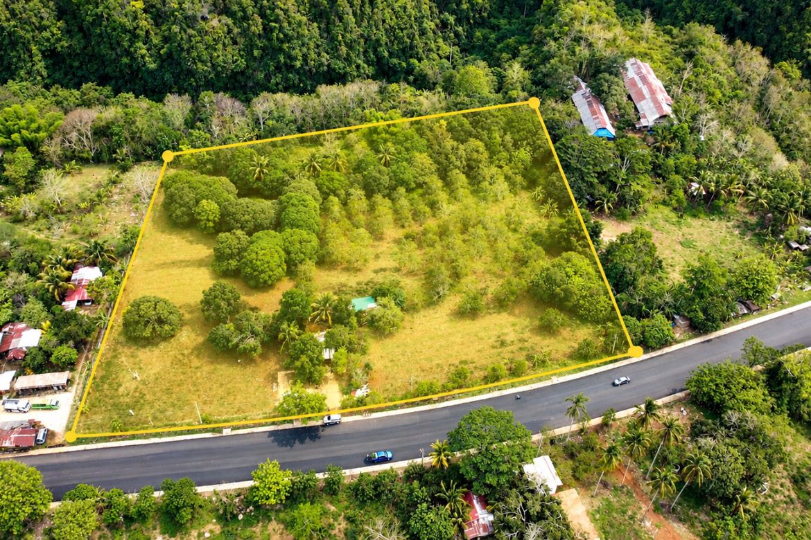 Land for Sale in Bayanga, Cagayan de Oro, Misamis Oriental – photo 2