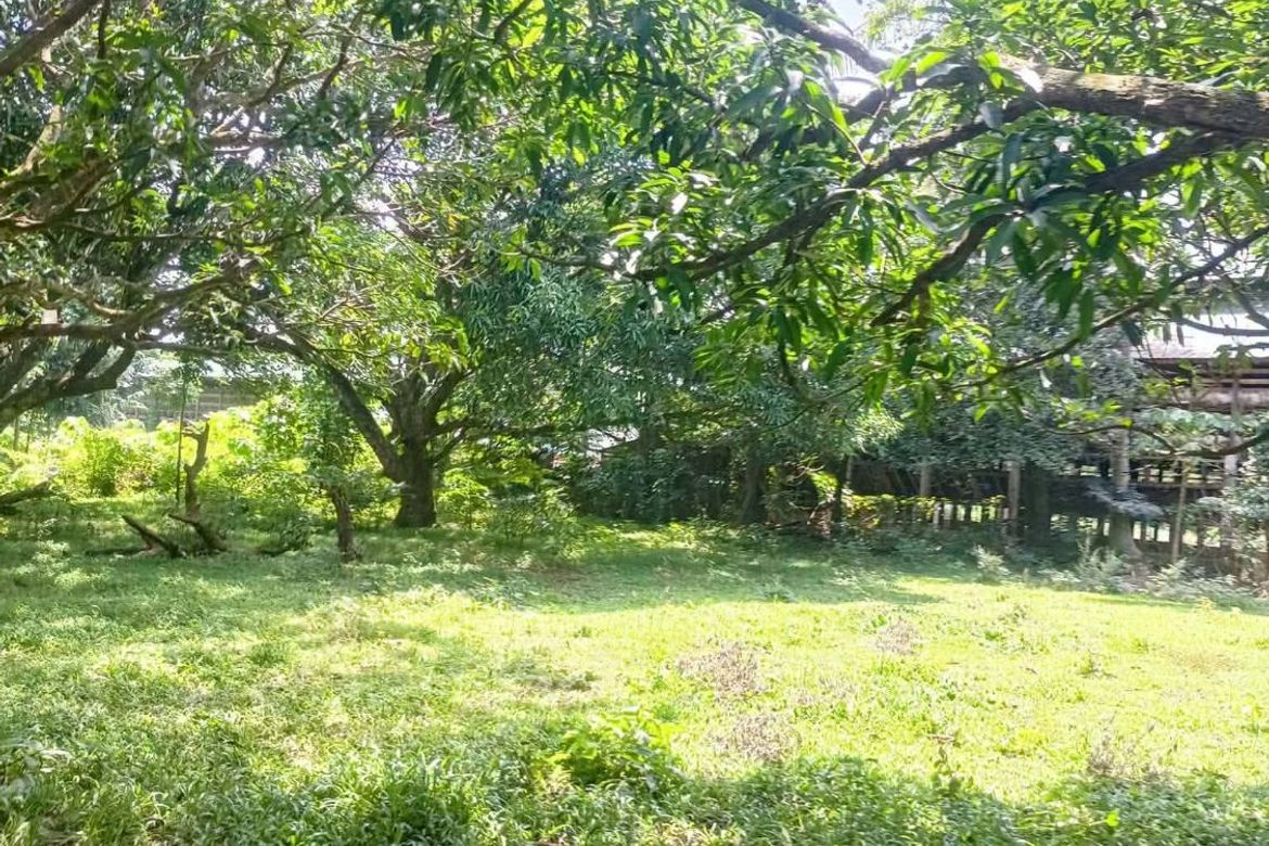 Land for Sale in Bayawang, Rosario, Batangas – photo 5
