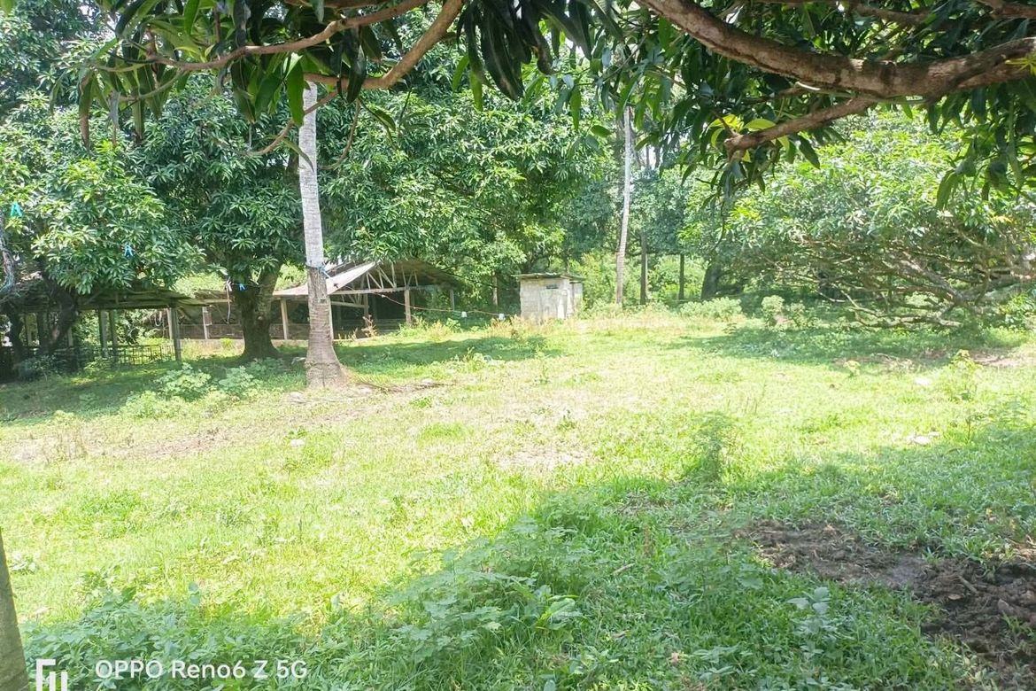 Land for Sale in Bayawang, Rosario, Batangas – photo 8