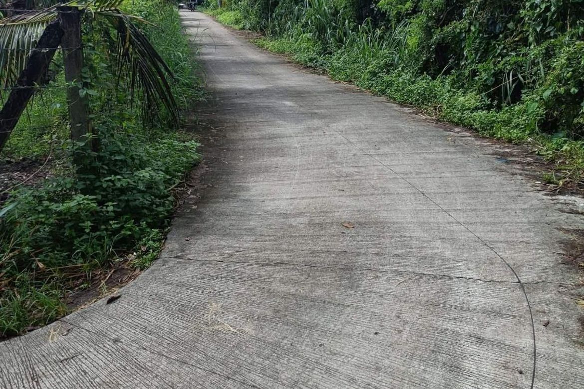 Land for Sale in Bayawang, Rosario, Batangas – photo 5