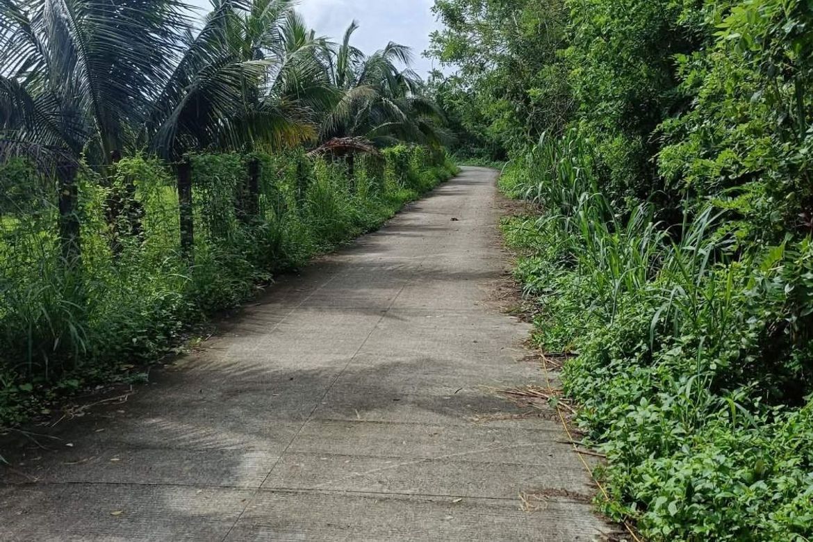 Land for Sale in Bayawang, Rosario, Batangas – photo 6