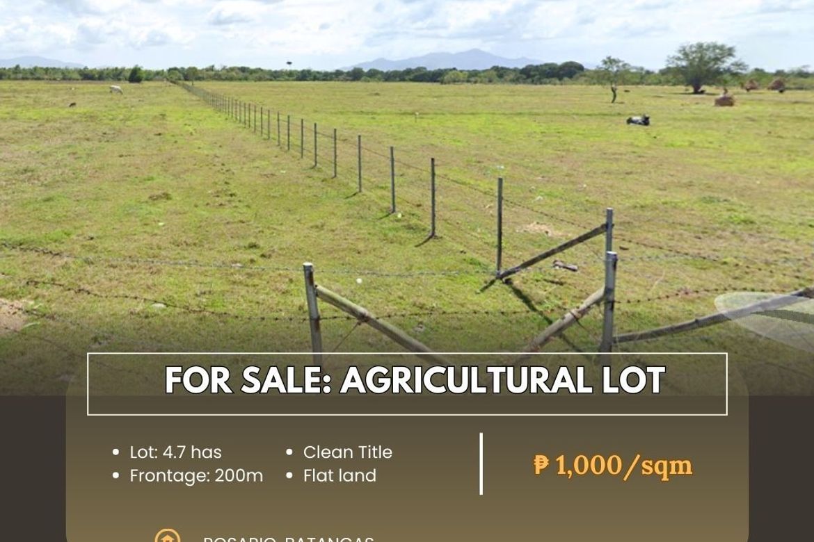 Land for Sale in Bayawang, Rosario, Batangas