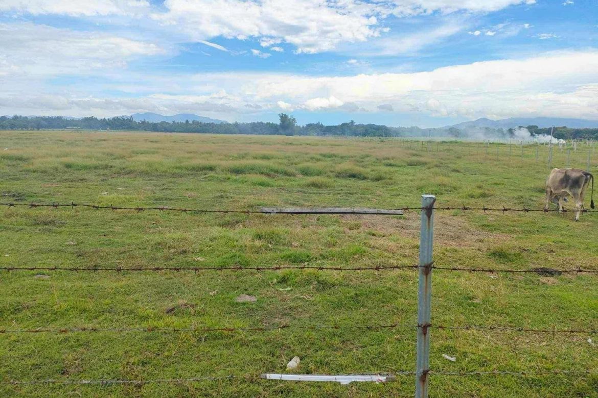 Land for Sale in Bayawang, Rosario, Batangas – photo 2