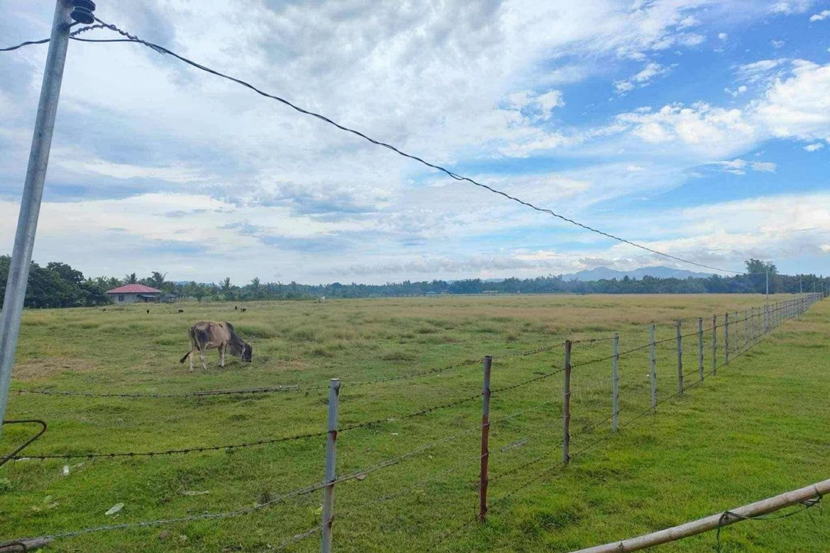 Land for Sale in Bayawang, Rosario, Batangas – photo 3